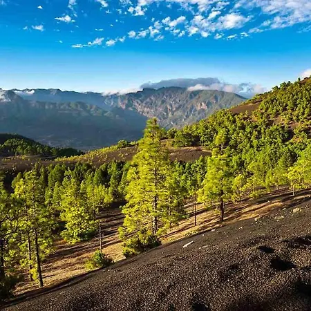 Casa Rustica * 埃尔帕索